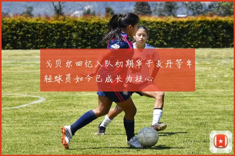 戈贝尔回忆入队初期华子麦丹等年轻球员如今已成长为核心
